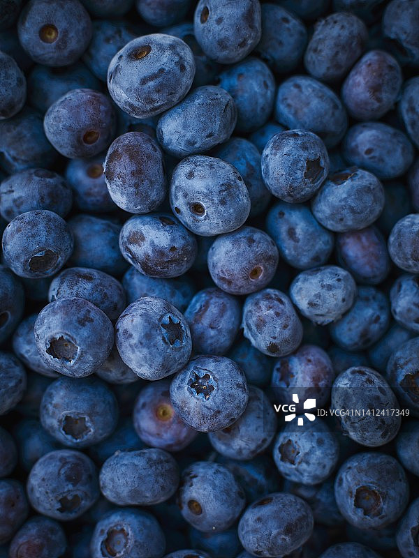 新鲜的蓝莓图片素材
