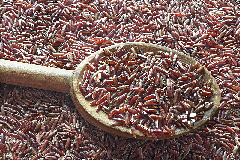 勺子上的红米饭图片素材