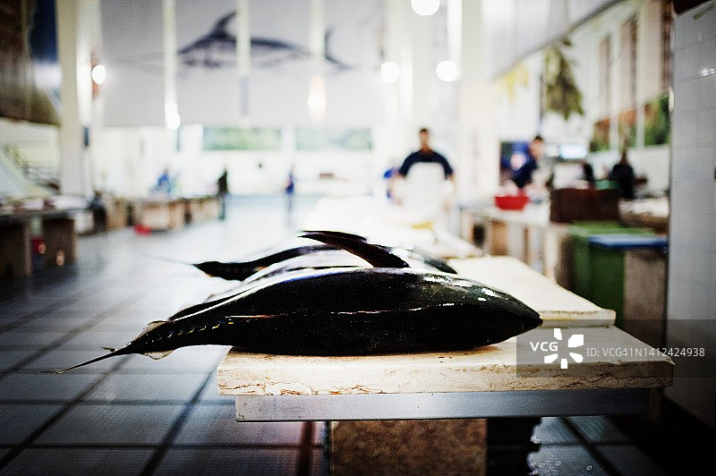 鱼市场上新鲜的金枪鱼（丰沙尔，马德拉）图片素材