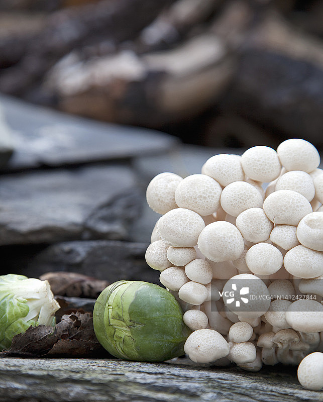 山毛榉蘑菇和球芽甘蓝图片素材