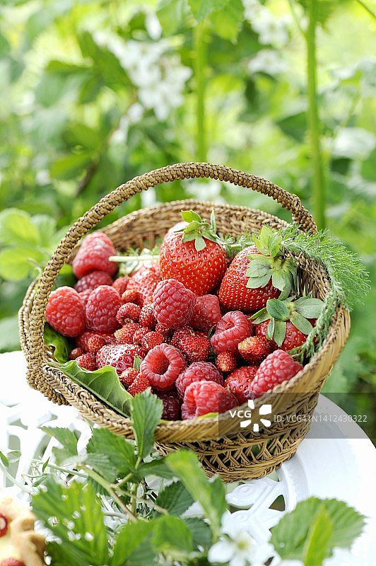 小篮子里的新鲜树莓、草莓和野生草莓图片素材