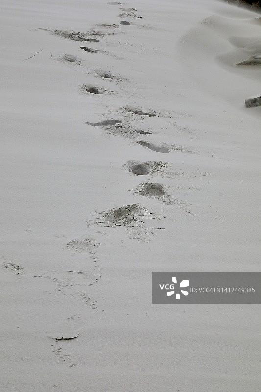 湿沙上的脚印图片素材