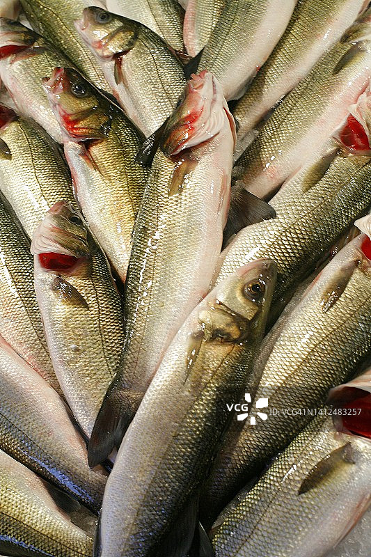 市场摊位上的新鲜鱼图片素材