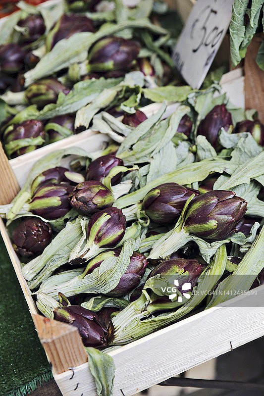 威尼斯市场上的迷你朝鲜蓟图片素材