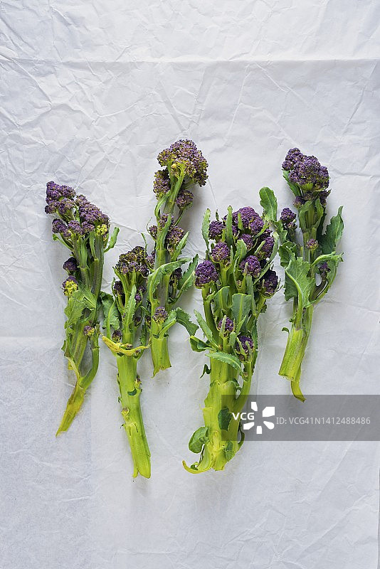 紫花椰菜（俯视）图片素材