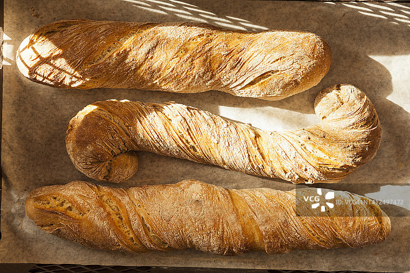 烤盘上的三根新鲜出炉的法棍面包（顶视图）图片素材