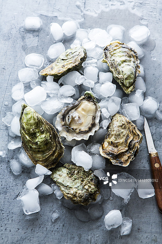 冰块与刀具旁的新鲜生蚝图片素材
