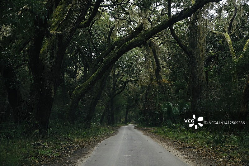 西班牙苔藓小路图片素材