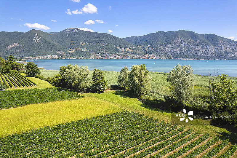 美丽的图片素材