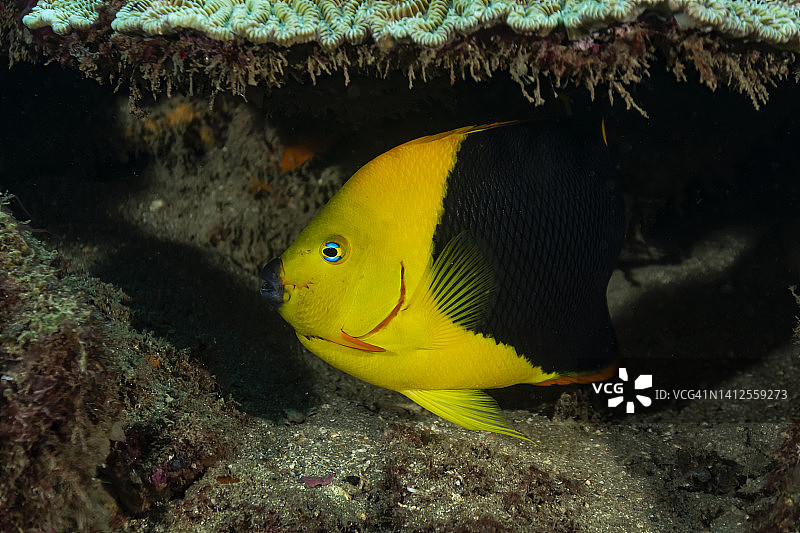 岩石之美图片素材