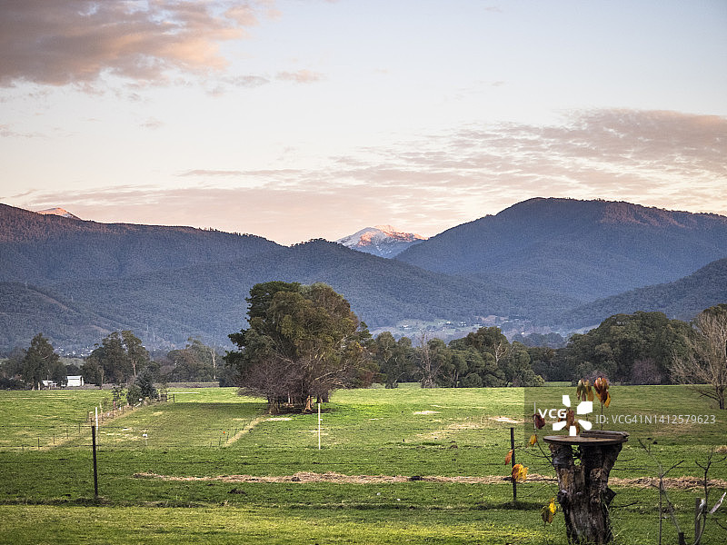 维多利亚州基瓦山谷 Tawonga 附近的空围场，寒冷的冬日夜晚图片素材