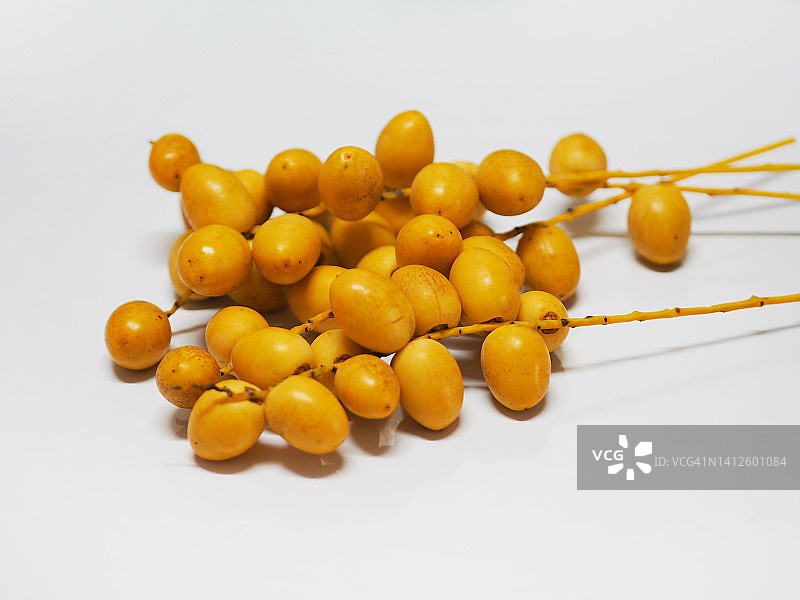 海枣树图片素材