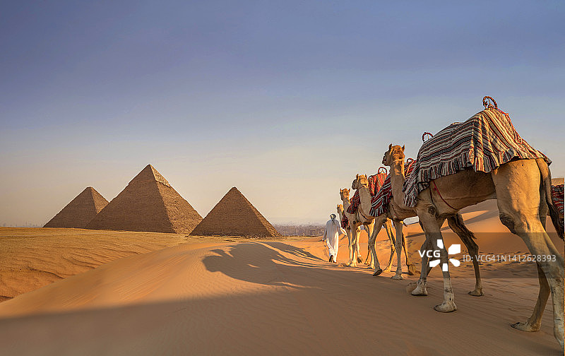 前往埃及金字塔的骆驼商队图片素材