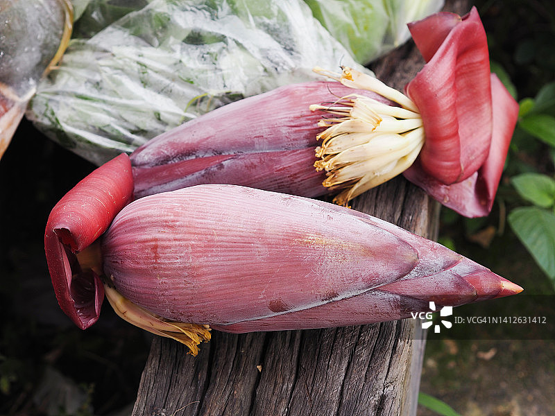 香蕉花紫色花朵图片素材
