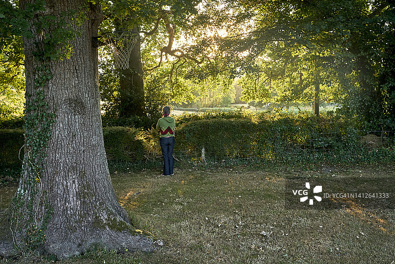 萨里丘陵的夏季英国乡村风光，英国萨里图片素材