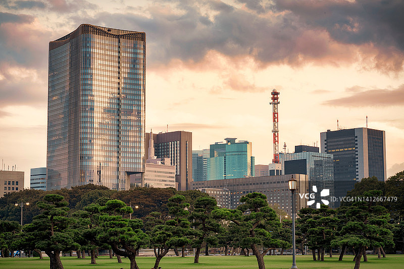 东京金融区森林公园中的绿色办公楼图片素材