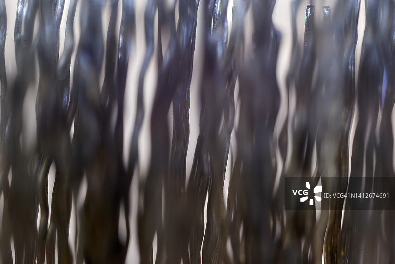 工业清洁刷的金属刷毛图片素材