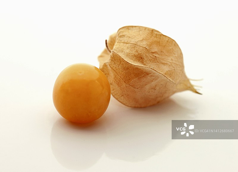 白色背景上的醋栗和果壳图片素材