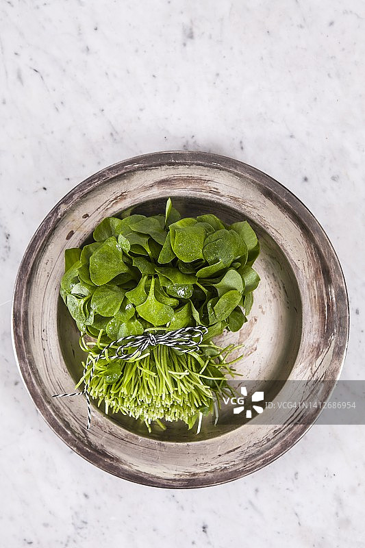 碗中的新鲜马齿苋图片素材