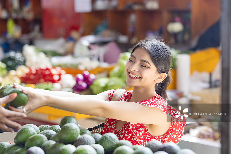购买牛油果图片素材