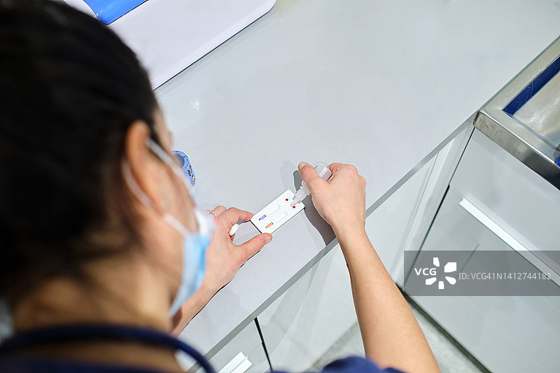 兽医使用快速检测试剂盒检测家猫术前的猫白血病病毒和猫免疫缺陷病毒图片素材