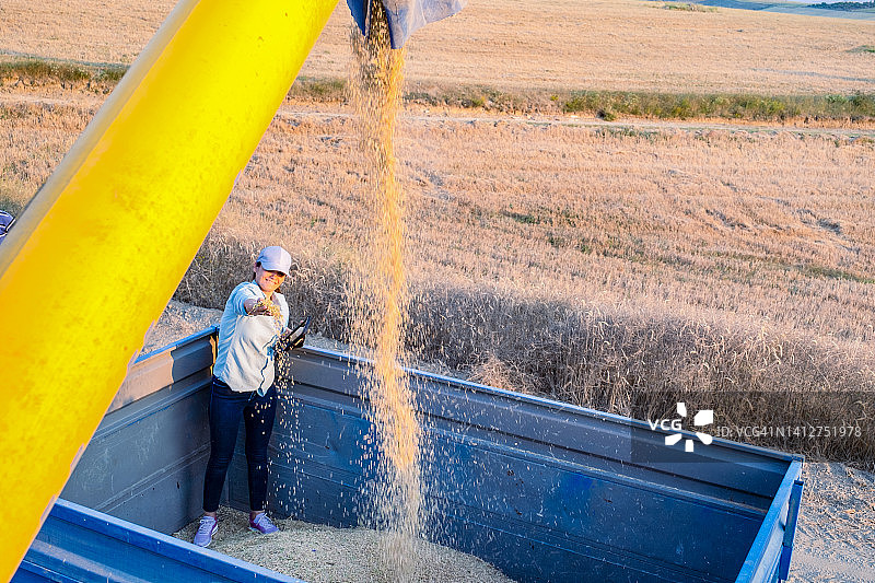 站在拖拉机上的女农民用平板电脑检查收成图片素材