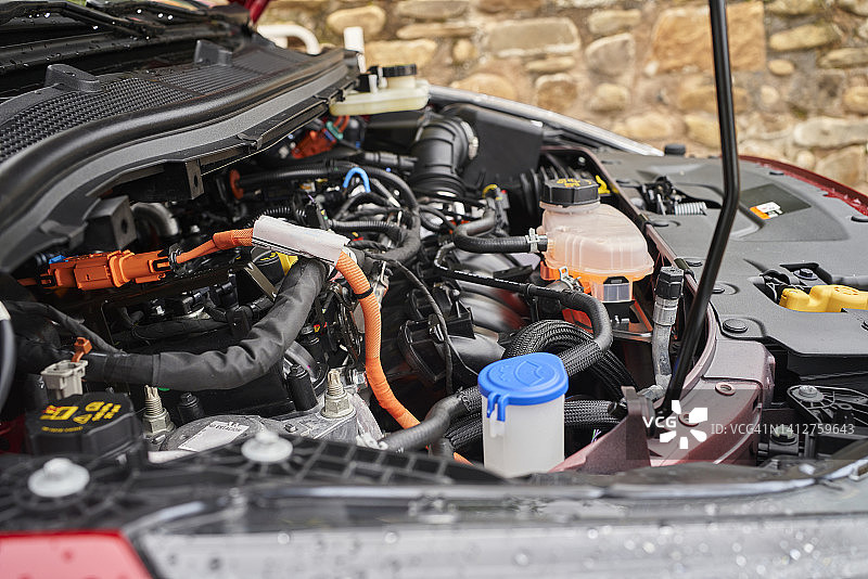 晴朗天气下户外拍摄的全新福特品牌汽车发动机舱特写图片素材