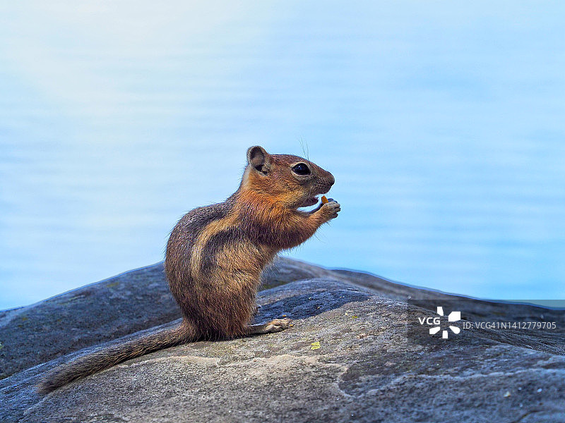 随时准备着图片素材