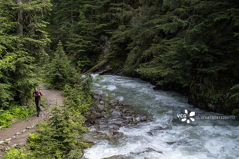 在绿意盎然的森林中，近小河边徒步的女人图片素材