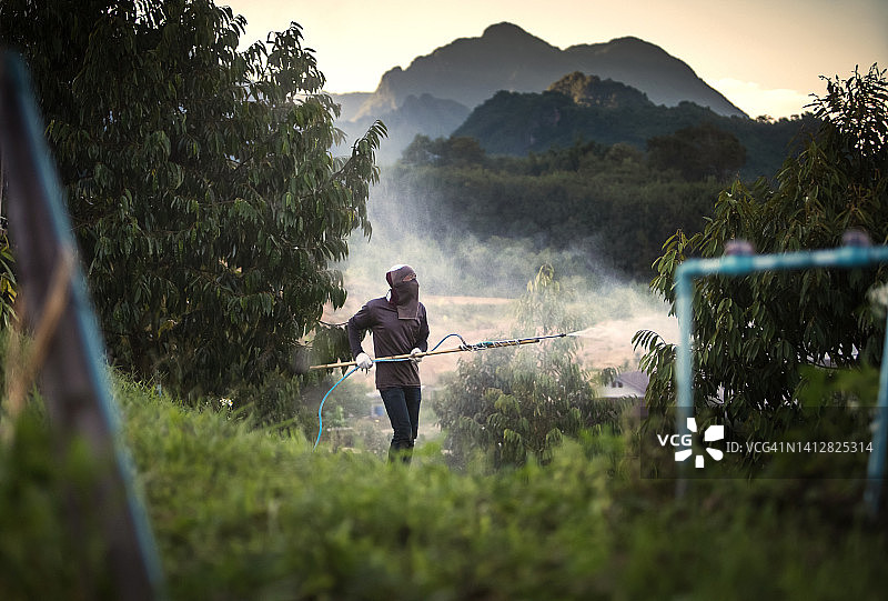 亚洲当地农民在乡村农场和山区背景下喷洒肥料和使用化学品防治榴莲和植物图片素材
