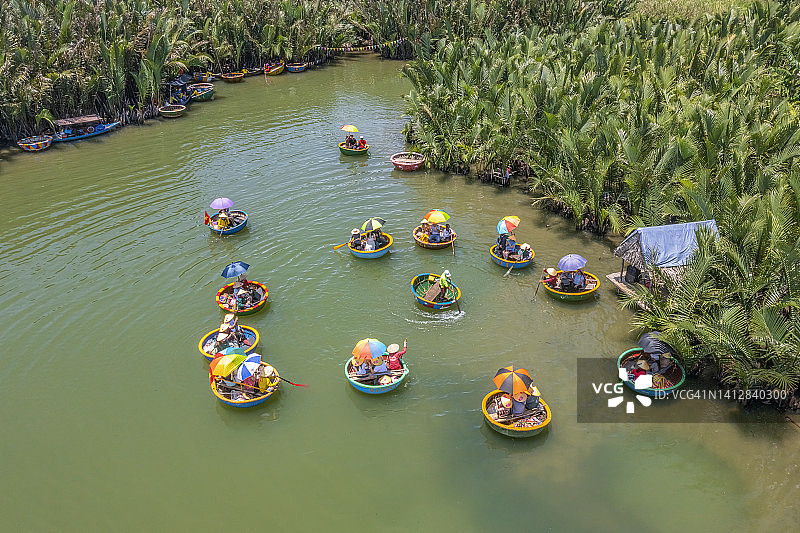 Cam Thanh村的椰子水（红树林棕榈）森林图片素材