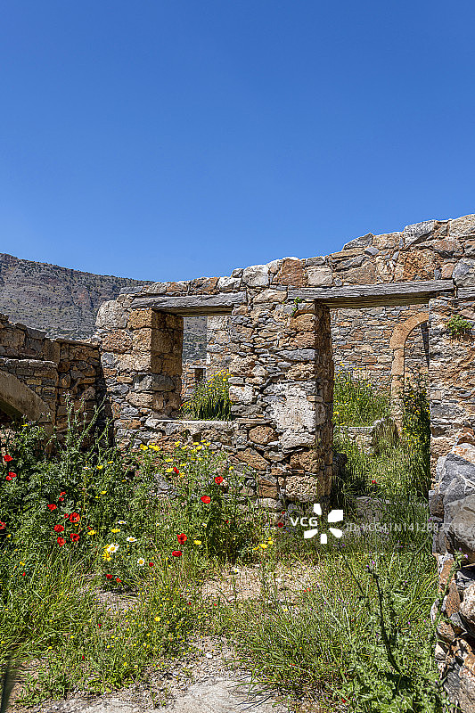 Spinalonga岛上的野花图片素材