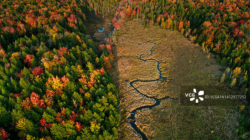 秋色与林间小溪的高角度航拍图片素材