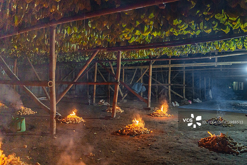 晾晒棚中悬挂的烟叶图片素材