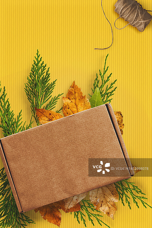 黄色背景上带有秋叶的棕色纸板箱图片素材