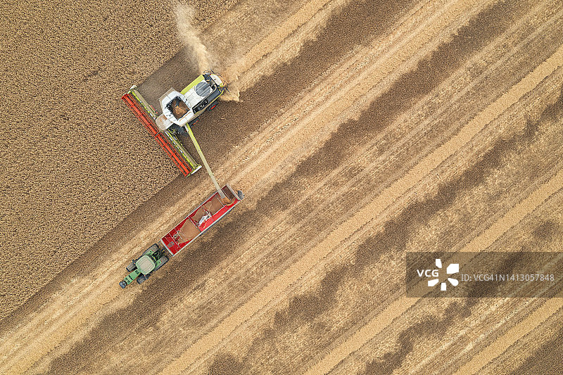 联合收割机和拖拉机在麦田作业的无人机视角图片素材