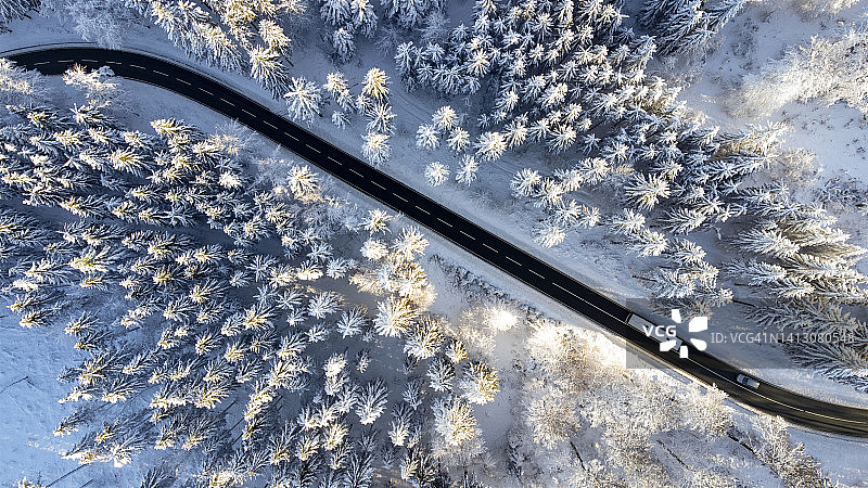 穿过冬季森林的道路图片素材