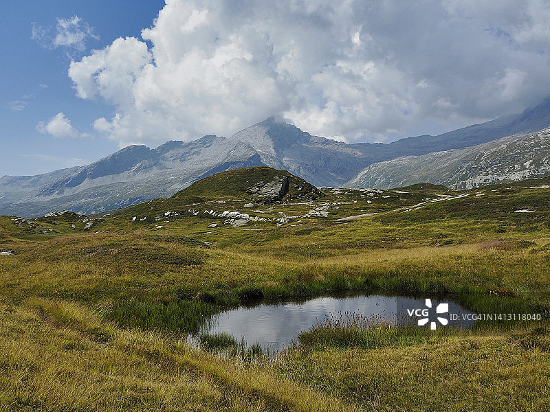 皮兹莫索拉山，圣贝纳迪诺山口的阿尔卑斯牧场和小池塘，瑞士图片素材