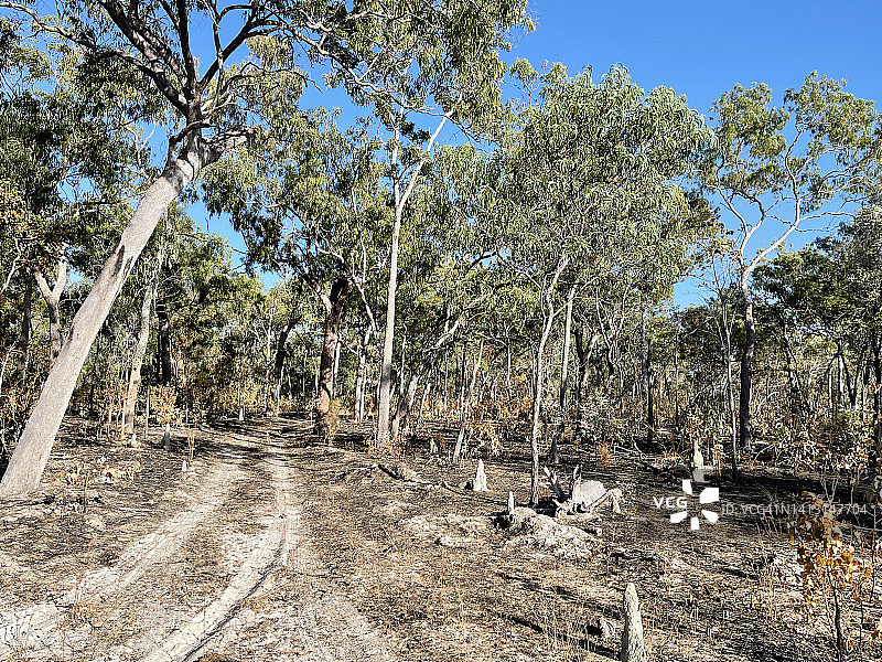 澳大利亚丛林大火区图片素材