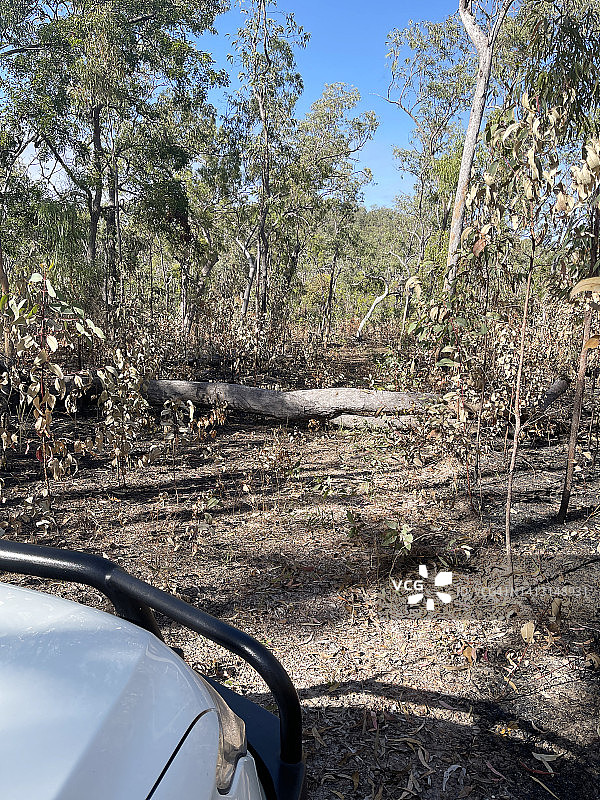 通往澳大利亚丛林大火地区的足迹图片素材