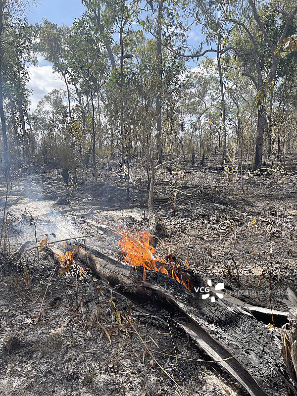 澳大利亚丛林大火区图片素材