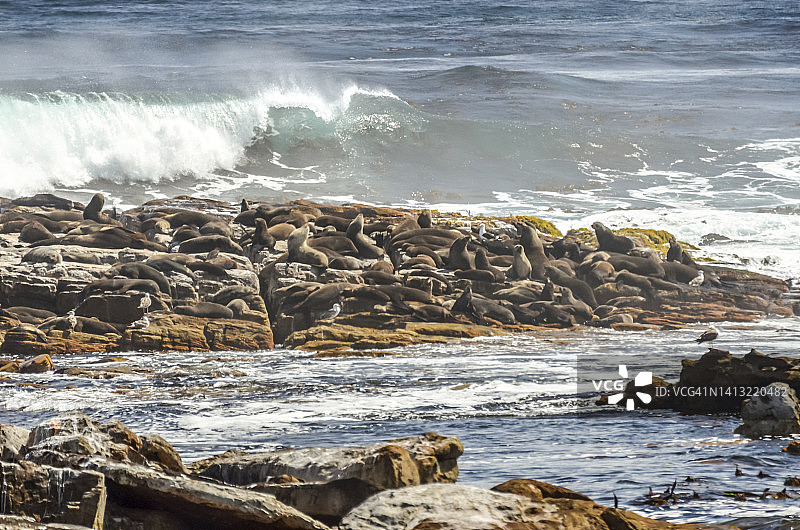 好望角国家公园图片素材