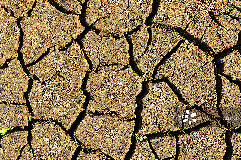 法国塞纳-马恩省的干旱湖岸图片素材