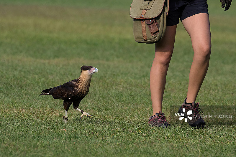 与鸟同行图片素材