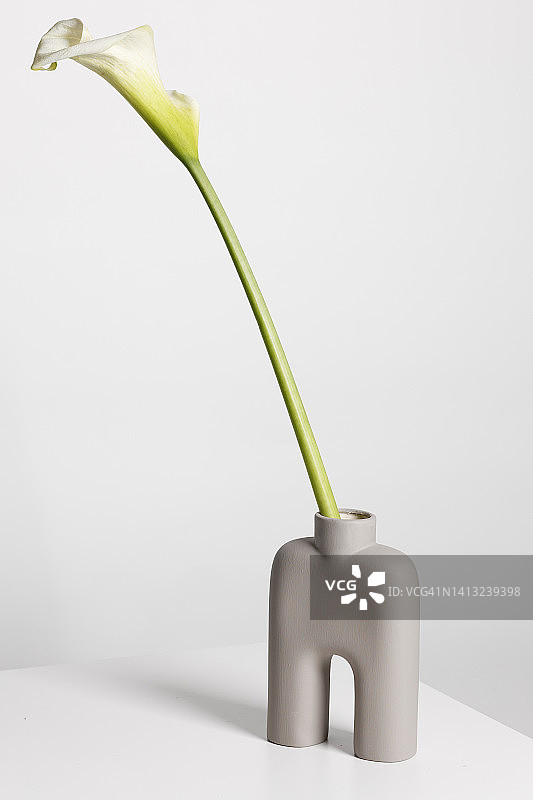 花瓶鲜花素材照片图片素材