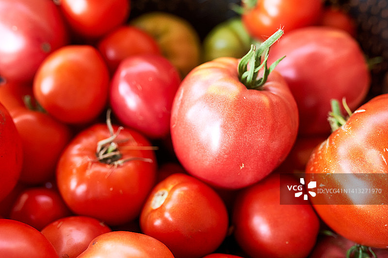 一箱红色番茄图片素材
