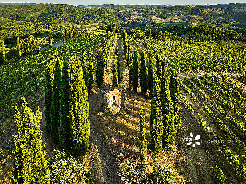 意大利托斯卡纳基安蒂葡萄酒产区的沃尔帕亚葡萄园图片素材