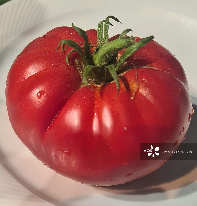 番茄图片素材