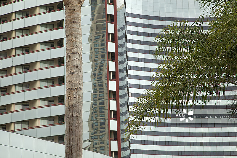 带有阳台的现代设计摩天大楼全景，玻璃和棕榈树的倒影图片素材