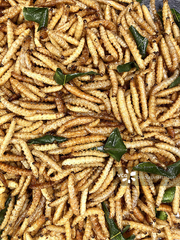 炸竹虫：蛋白质的另一种来源图片素材